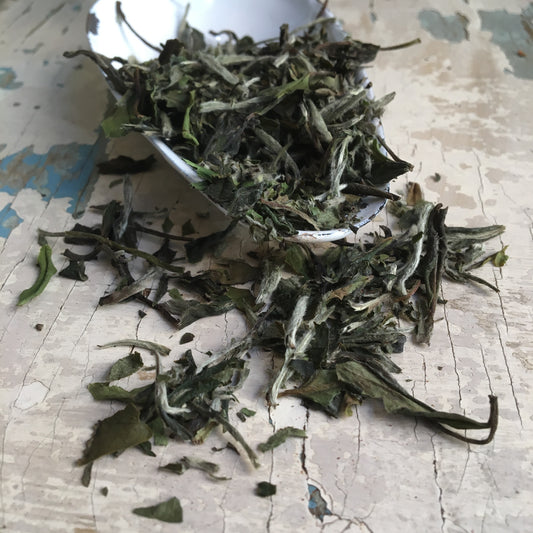 Pai Mu Tan bílý čaj - 50g